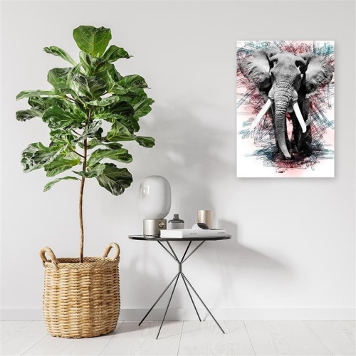 Obraz na plátně Slon Abstrakt Afrika