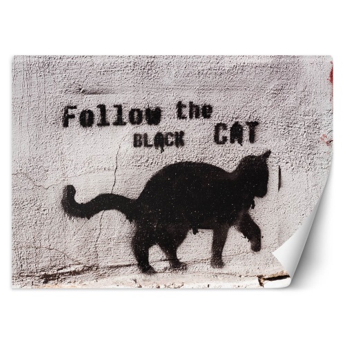 Fototapeta, Banksy Graffiti Černá kočka