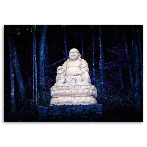 Obraz na plátně Bílý Buddha do obývacího pokoje