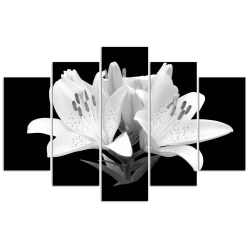 Obraz na plátně pětidílný Bílé lilie Květiny Příroda