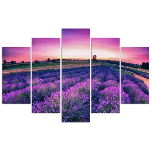Obraz na plátně pětidílný Levandulově fialové pole