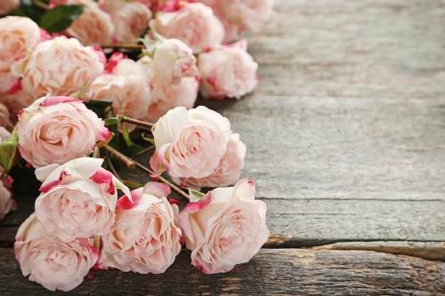 Samolepiaca fototapeta romantické ruže
