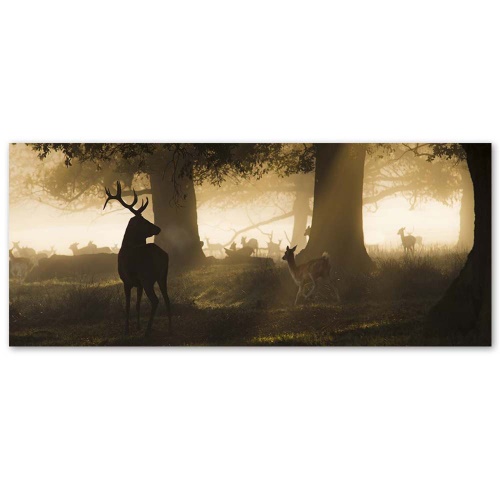 Obraz na plátně Jelen v lese Fog Brown