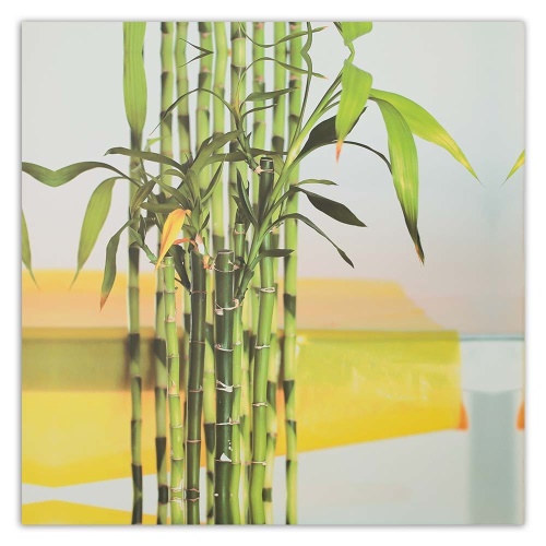 Obraz na plátně Bamboo Leaf Zen Spa
