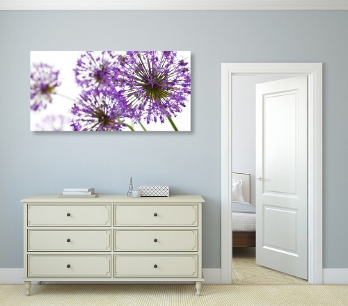Obraz kvitnúce fialové kvety cesnaku