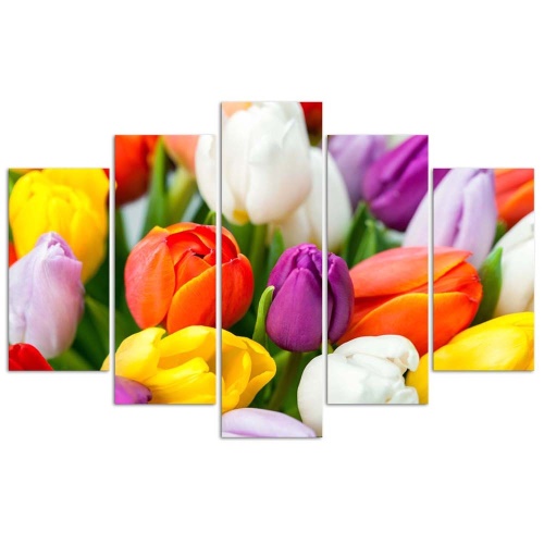 Obraz na plátně pětidílný Barevné tulipány Květiny