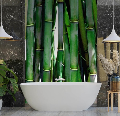 Fototapeta, Zelená bambusová textura