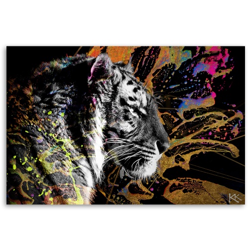 Obraz na plátně, Tygr na barevném pozadí