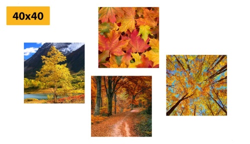 Set obrazov jesenná príroda v nádherných farbách