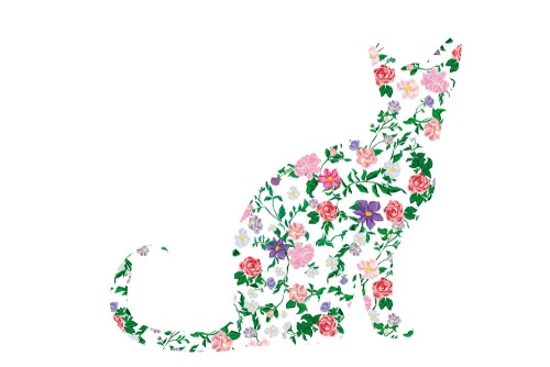 Tapeta mačka z kvetín