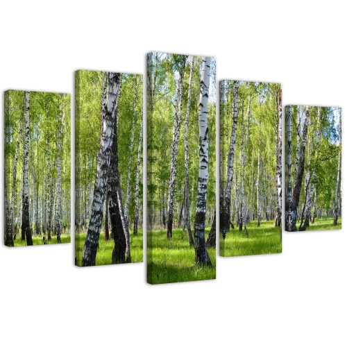 Obraz na plátně pětidílný Březový les