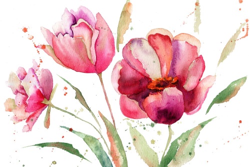 Samolepiaca tapeta tulipány v zaujímavom prevedení