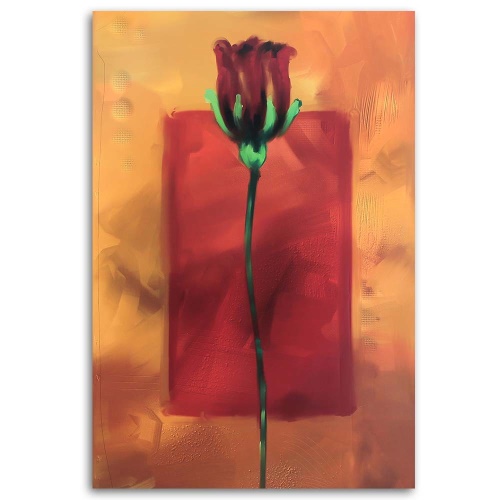 Obraz na plátně Rose Flower Červená příroda