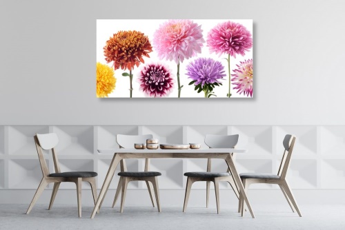 Obraz kvety dálie v rozmanitom dizajne