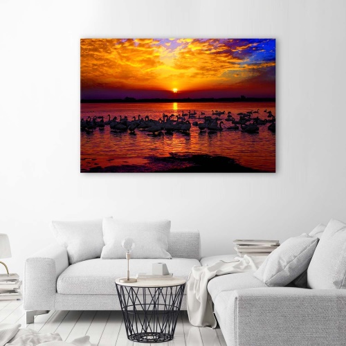 Obraz na plátně Labutě při západu slunce