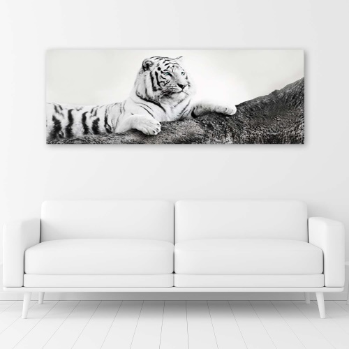 Obraz na plátně Afrika Tiger Zvíře