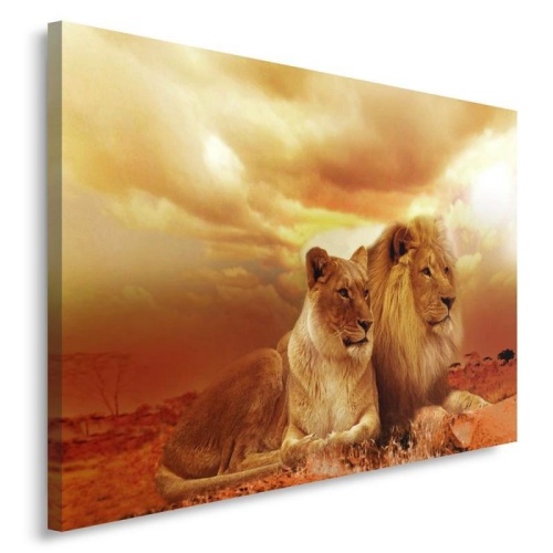 Obraz na plátně, Lvi Zvířata Afrika Brown