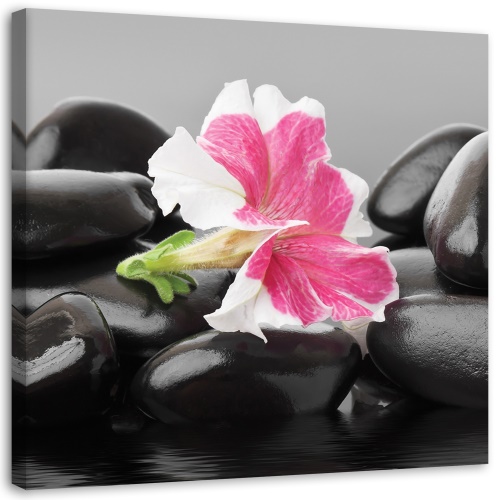 Obraz na plátně Květiny Zenové kameny