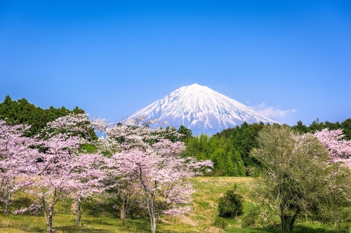 Samolepiaca fototapeta sopka Fuji