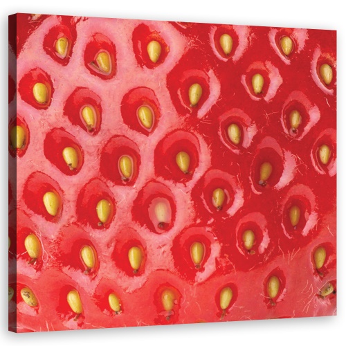 Obraz na plátně, Makro jahody