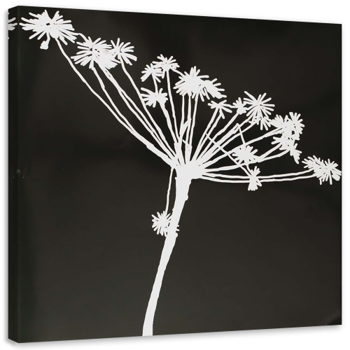 Obraz na plátně Květina Černobílá příroda