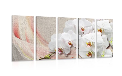 5-dielny obraz biela orchidea na plátne