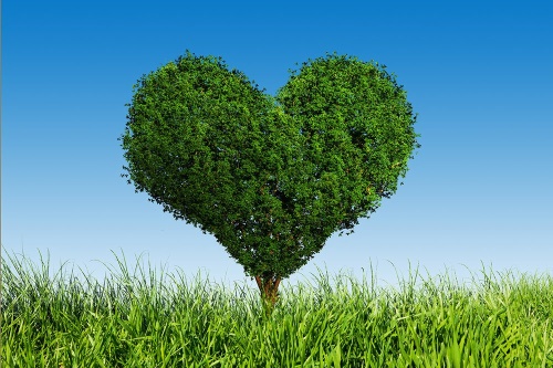 Samolepiaca tapeta strom v tvare srdca