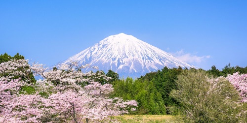 Obraz hora Fuji