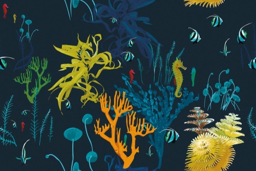 Tapeta krásy podmorského sveta - 75x1000 cm