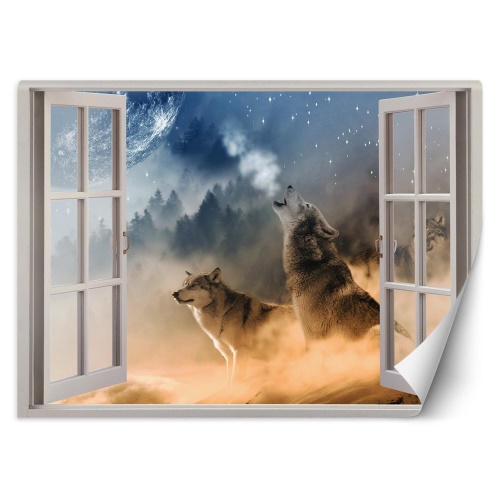 Fototapeta, Pohled z okna Vlk Zvíře Příroda Abstrakt