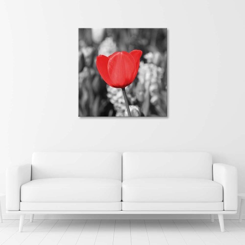 Obraz na plátně Moderní červené tulipány kvetou na louce