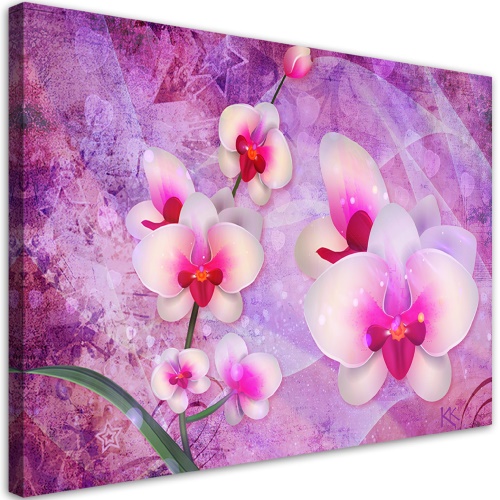 Obraz na plátně, Abstrakce orchidejí