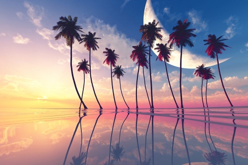 Samolepiaca tapeta západ slnka nad tropickými palmami