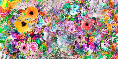 Obraz pestrofarebné kvety