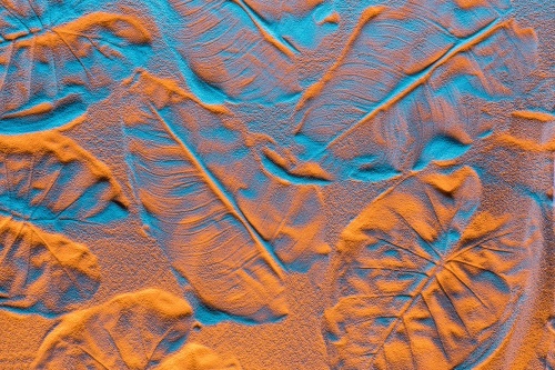 Samolepiaca tapeta textúra listov v piesku