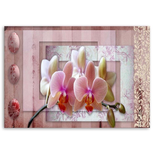 Obraz na plátně Růžové květiny orchidejí