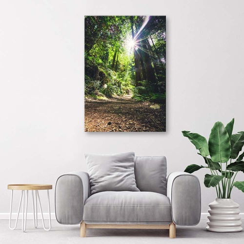 Obraz na plátně Džungle Les Příroda Zelená