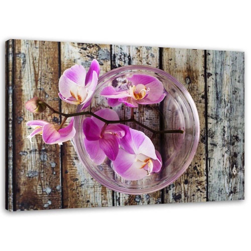 Obraz na plátně Orchidej Květiny Dřevěné lázně