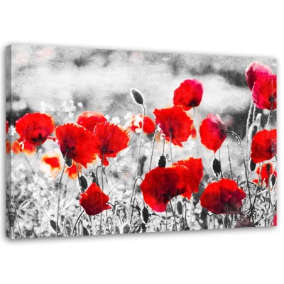 Obraz na plátně Vlčí máky Květiny Červená příroda - 120x80 cm