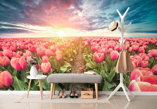 Samolepiaca tapeta východ slnka nad lúkou s tulipánmi