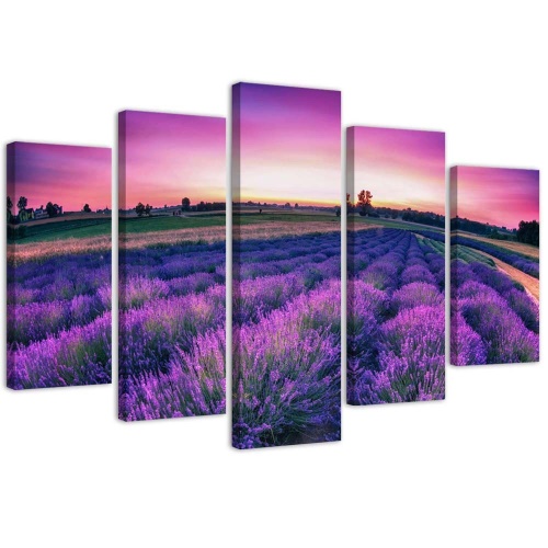 Obraz na plátně pětidílný Levandulově fialové pole