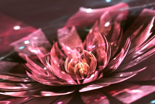 Obraz kvetinová ilúzia