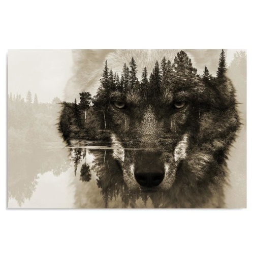 Obraz na plátně, Vlk Lesní zvířata Příroda