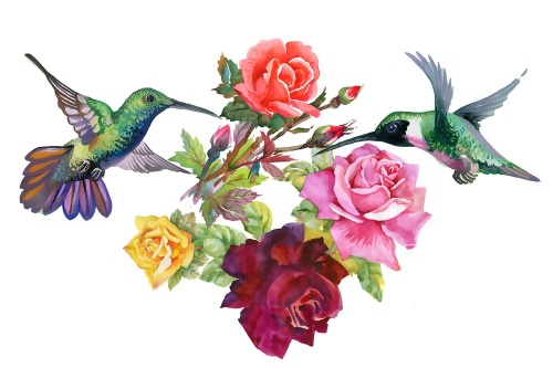 Samolepiaca tapeta kolibríky s kvetmi