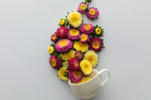 Obraz šálka plná kvetov