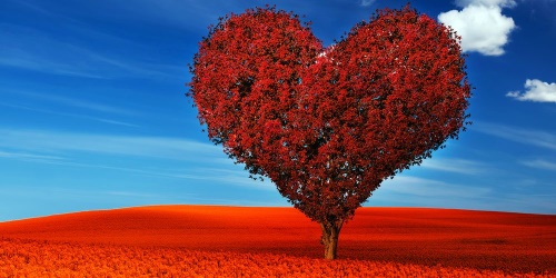 Obraz nádherný strom v tvare srdca