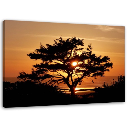 Obraz na plátně Strom Moře Západ slunce
