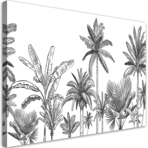 Obraz na plátně, Černé a bílé palmy
