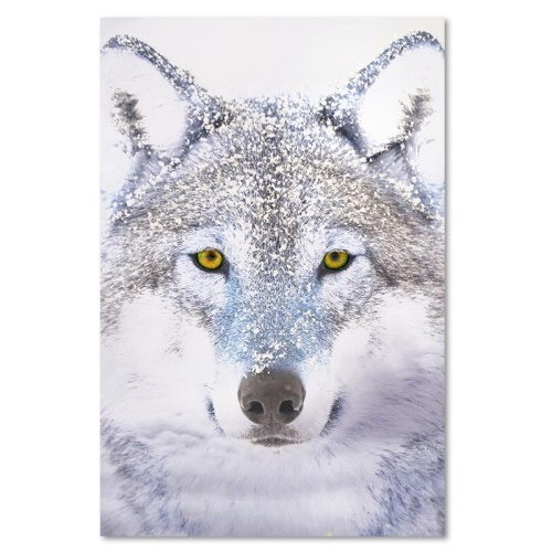 Obraz na plátně Vlk šedý Příroda Zvířata