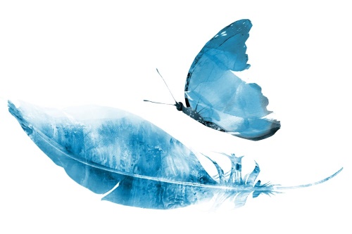 Samolepiaca tapeta pierko s motýľom v modrom prevedení